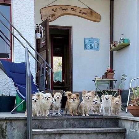 B&B Il Tempo Del Sogno Con Cani E Gatti Pet&Breakfast บาเวโน ภายนอก รูปภาพ