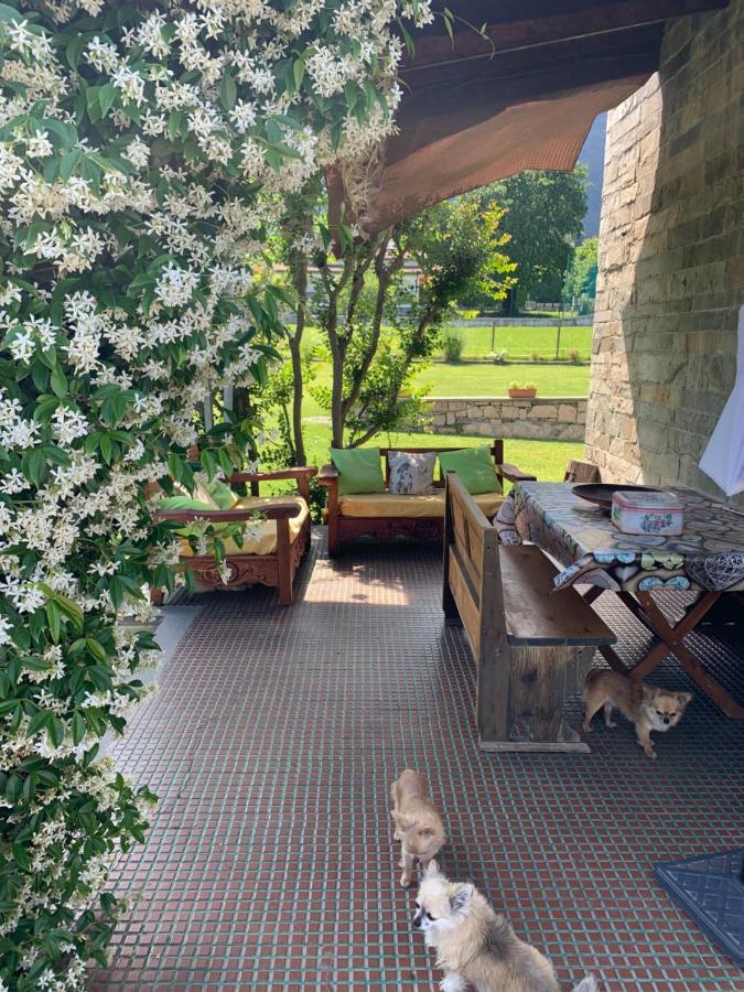 B&B Il Tempo Del Sogno Con Cani E Gatti Pet&Breakfast บาเวโน ภายนอก รูปภาพ